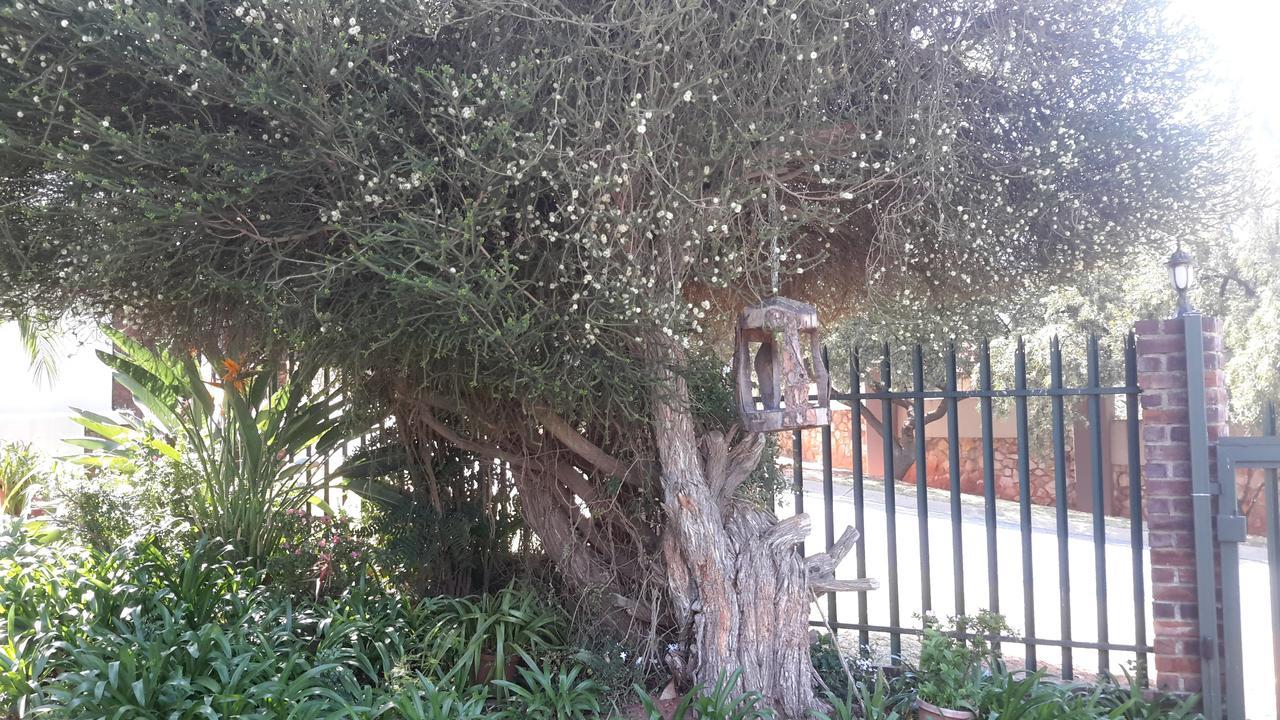 Chez Esme Guest House Roodepoort Exterior photo